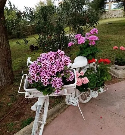 بيت ضيافة La Dimora Di Nonno Nuccio راغوزا