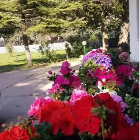La Dimora Di Nonno Nuccio