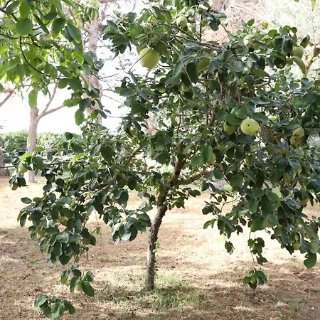 La Dimora Di Nonno Nuccio بيت ضيافة