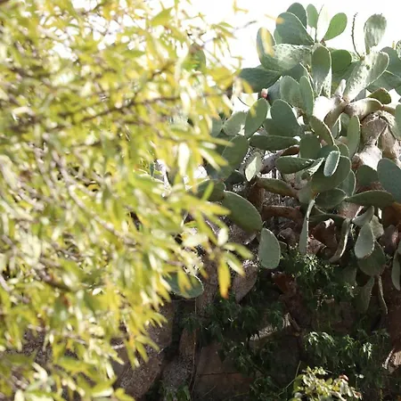 La Dimora Di Nonno Nuccio * Ragusa