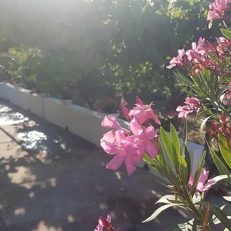La Dimora Di Nonno Nuccio بيت ضيافة