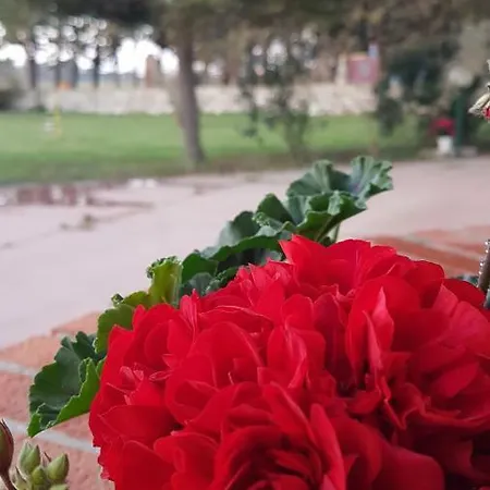 La Dimora Di Nonno Nuccio Vendégház Ragusa